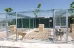 canile save the dogs romania realizzato da laika nel 2012